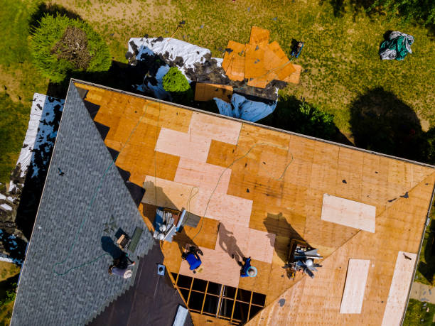 Best Residential Roofing Contractor  in Albion, IL