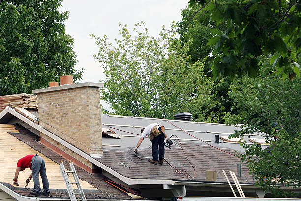 Roof Gutter Cleaning in Albion, IL