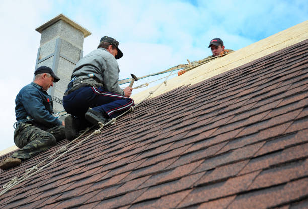 Quick and Trustworthy Emergency Roof Repair Services in Albion, IL