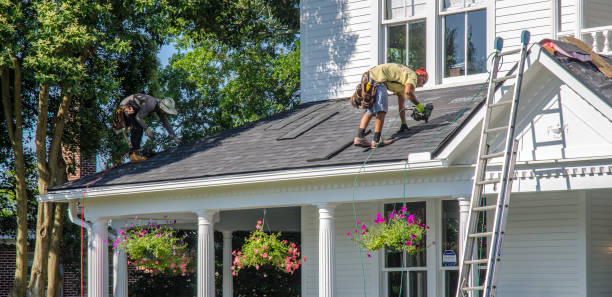 Best Roof Restoration Services  in Albion, IL