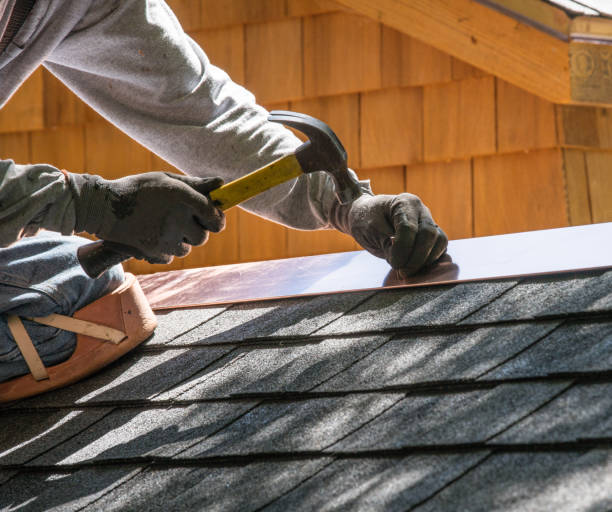 Best Residential Roofing Contractor  in Albion, IL